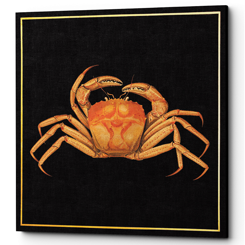 Постер Running Crab Poster Черный Оранжевый Постер Running Crab Poster Черный Оранжевый в Рязани | Loft Concept
