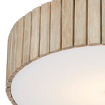 Потолочный светильник круглый светодиодный Contrasting Elements варинант исполнения - 1 | Loft Concept в Рязани