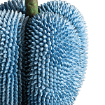 Статуэтка тропический фрукт Tropical Fruit blue варинант исполнения - 3 | Loft Concept в Рязани