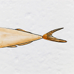 Плитка с узором Рыба Русалка варинант исполнения - 6 | Loft Concept в Рязани