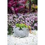 Кашпо A collection of baby rabbits варинант исполнения - 9 | Loft Concept в Рязани