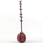 Статуэтка тропический фрукт Pandora Tropical Fruit Tall Pink Green варинант исполнения - 3 | Loft Concept в Рязани