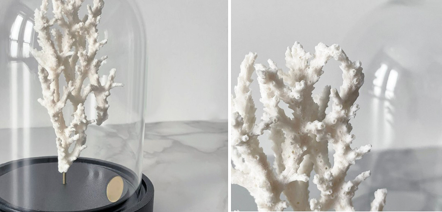 Статуэтка White Coral Glass Cloche Статуэтка White Coral Glass Cloche - Loft-Concept в Рязани