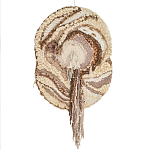 Овальный Современный Гобелен Абстракция в бежевых тонах Shallow варинант исполнения - 7 | Loft Concept в Рязани