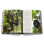 Подарочнный коллекционный фото альбом AFRICAN ADVENTURES NEW 2023 ASSOULINE HC UNBELIEVABLE ILLUSTRATIONS Safari варинант исполнения - 8 | Loft Concept в Рязани