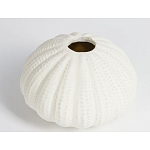 Подсвечник круглый белого цвета SeaFlowers варинант исполнения - 2 | Loft Concept в Рязани