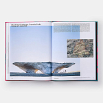 Radical Architecture of the Future варинант исполнения - 4 | Loft Concept в Рязани