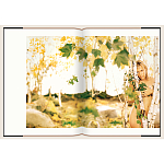 Подарочный Фотоальбом Matthew Rolston Beauty light 2006 варинант исполнения - 8 | Loft Concept в Рязани