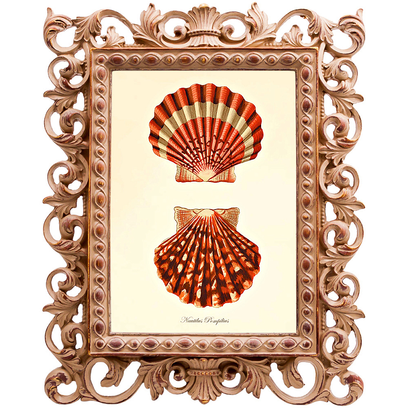 Постер Red Scallop Poster Бежевый Красный в Рязани | Loft Concept 