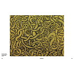 Редкое подарочное издание Yayoi Kusama: 1945 to Now варинант исполнения - 7 | Loft Concept в Рязани