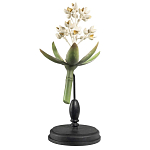 Статуэтка Wonderboom варинант исполнения - 1 | Loft Concept в Рязани