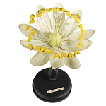 Статуэтка Tilia варинант исполнения - 1 | Loft Concept в Рязани