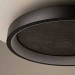 Потолочный светильник Orign 3000К варинант исполнения - 5 | Loft Concept в Рязани