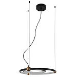 Люстра подвесная светодиодная черный металл Ring Horizontal варинант исполнения - 2 | Loft Concept в Рязани