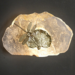 Бра Декоративный лист с стрекозой Glacial Fragment варинант исполнения - 2 | Loft Concept в Рязани