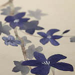 Обои ручная роспись Cherry Tree Original colourway on Stone Ochre dyed silk варинант исполнения - 3 | Loft Concept в Рязани