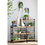 Кашпо Curly baby варинант исполнения - 4 | Loft Concept в Рязани