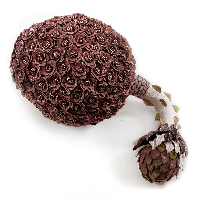 Коричневый фрукт Exotic Fruit Artichoke Brown 42 Коричневый Коричневый фрукт Exotic Fruit Artichoke Brown 42 Коричневый в Рязани | Loft Concept