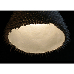 Светильник Acus варинант исполнения - 3 | Loft Concept в Рязани