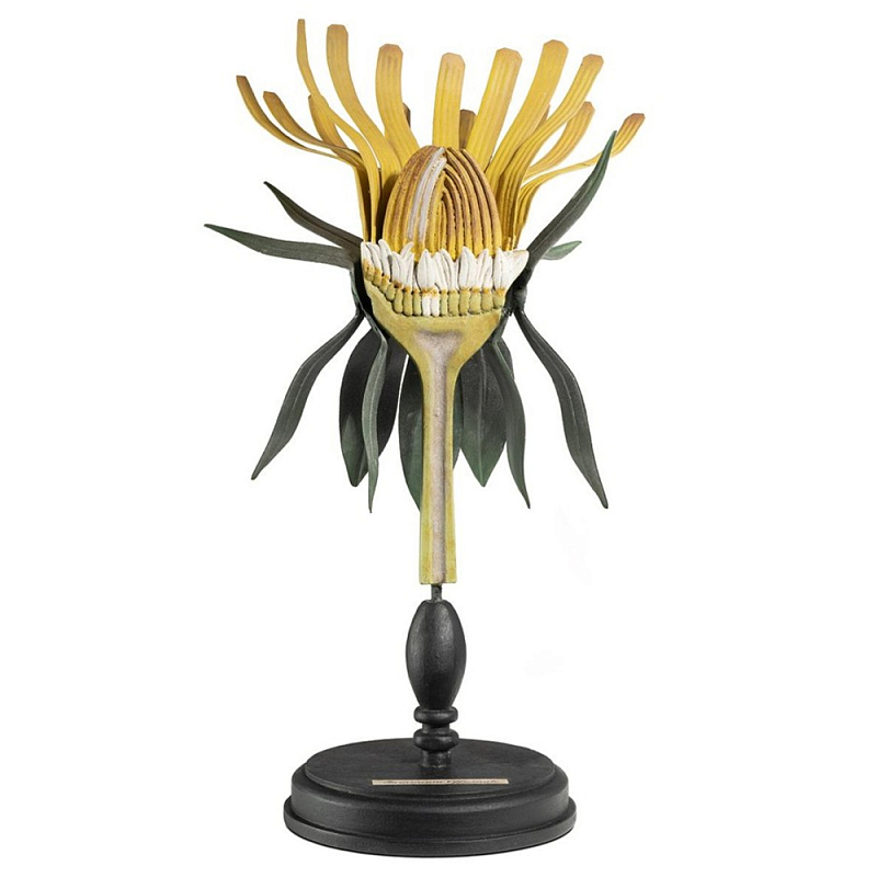 Статуэтка Dandelion Plant Черный Желтый Статуэтка Dandelion Plant Черный Желтый в Рязани | Loft Concept