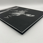 Коллекционная редкая книга Madonna: Nudes + by Martin H.M. Schreiber 2017 Букинистика варинант исполнения - 4 | Loft Concept в Рязани