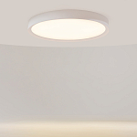 Потолочный светильник Incognito 2700-4000К 46Вт варинант исполнения - 2 | Loft Concept в Рязани