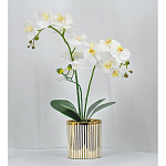 Декоративный искусственное растение Lush Orchid варинант исполнения - 2 | Loft Concept в Рязани