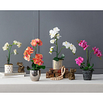 Декоративный искусственное растение Pink orchid варинант исполнения - 11 | Loft Concept в Рязани