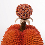 Статуэтка тропический фрукт Tropical Fruit Orange Prickly Berry варинант исполнения - 2 | Loft Concept в Рязани