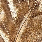 Статуэтка Metal Flowers Gold Black powder варинант исполнения - 2 | Loft Concept в Рязани