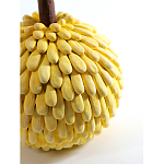 Статуэтка тропический фрукт Pandora Tropical Fruit Yellow Emerald Flower варинант исполнения - 2 | Loft Concept в Рязани