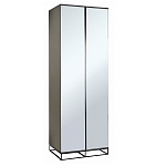 Двухдверный шкаф с зеркальными дверцами Strict Lines варинант исполнения - 1 | Loft Concept в Рязани