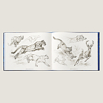 Лимитированная подарочная книга HERMES Fierce and Fragile book, English version варинант исполнения - 4 | Loft Concept в Рязани