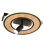 Потолочный светильник круглый GAVIN WOOD варинант исполнения - 1 | Loft Concept в Рязани