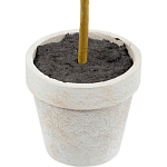 Декоративный искусственное растение Boxwood One варинант исполнения - 3 | Loft Concept в Рязани