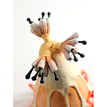 Статуэтка тропический фрукт Pandora Tropical Fruit Orange варинант исполнения - 3 | Loft Concept в Рязани