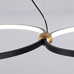 Люстра подвесная светодиодная черный металл Ring Horizontal варинант исполнения - 11 | Loft Concept в Рязани