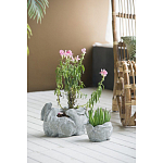 Кашпо A collection of baby rabbits варинант исполнения - 4 | Loft Concept в Рязани