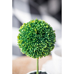 Декоративный искусственное растение Boxwood One варинант исполнения - 8 | Loft Concept в Рязани