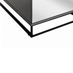 Двухдверный шкаф с зеркальными дверцами Strict Lines варинант исполнения - 4 | Loft Concept в Рязани