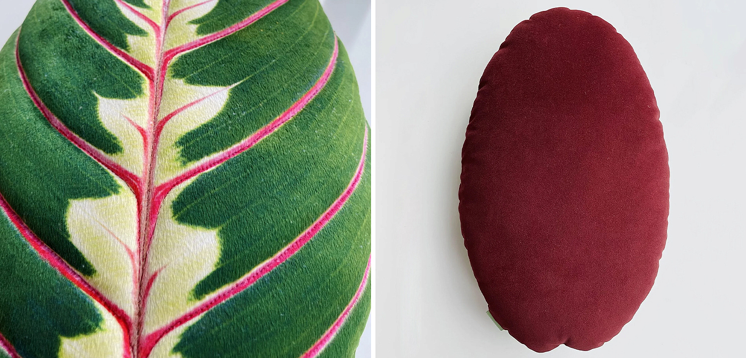 Декоративная подушка Botanical Cushion Maranta Trikolor Декоративная подушка Botanical Cushion Maranta Trikolor - Loft-Concept в Рязани