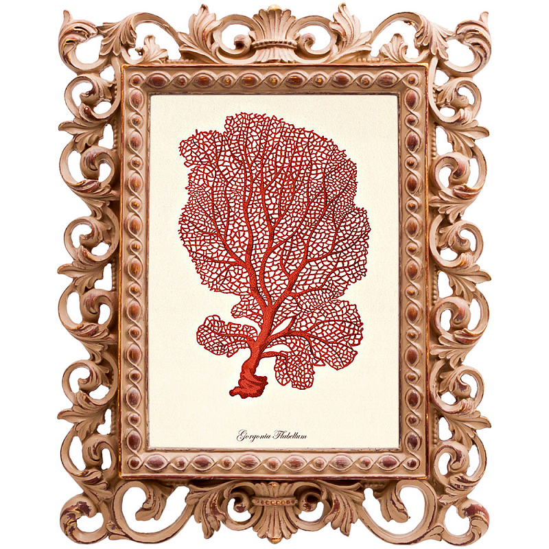 Постер Red Coral Poster 5 Бежевый Красный Постер Red Coral Poster 5 Бежевый Красный в Рязани | Loft Concept