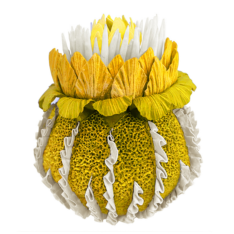 Желтый Экзотический фрукт Yellow Pandora Exotic Fruit 44 Желтый Желтый Экзотический фрукт Yellow Pandora Exotic Fruit 44 Желтый в Рязани | Loft Concept