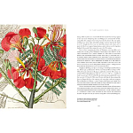Прекрасно иллюстрированная книга более 100 ботанических произведений Plant Hunters Atlas варинант исполнения - 5 | Loft Concept в Рязани