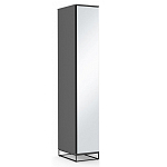 Шкаф-пенал с зеркальной дверцей и фасадом цвета графит Strict Lines варинант исполнения - 2 | Loft Concept в Рязани