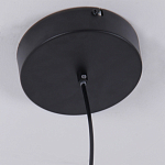 Люстра подвесная светодиодная черный металл Ring Horizontal варинант исполнения - 6 | Loft Concept в Рязани