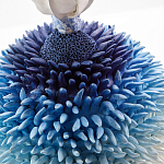 Статуэтка Синий тропический фрукт Tropical Fruit Pandora 4 варинант исполнения - 1 | Loft Concept в Рязани