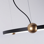 Люстра подвесная светодиодная черный металл Ring Horizontal варинант исполнения - 3 | Loft Concept в Рязани