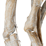 Люстра круглая в виде веток деревьев Natural Driftwood варинант исполнения - 3 | Loft Concept в Рязани