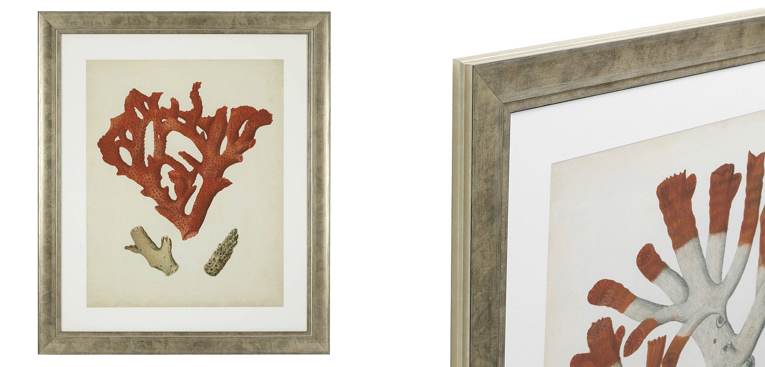 Комплект постеров Eichholtz Prints Antique Red Corals set of 6 Комплект постеров Eichholtz Prints Antique Red Corals set of 6 - Loft-Concept в Рязани